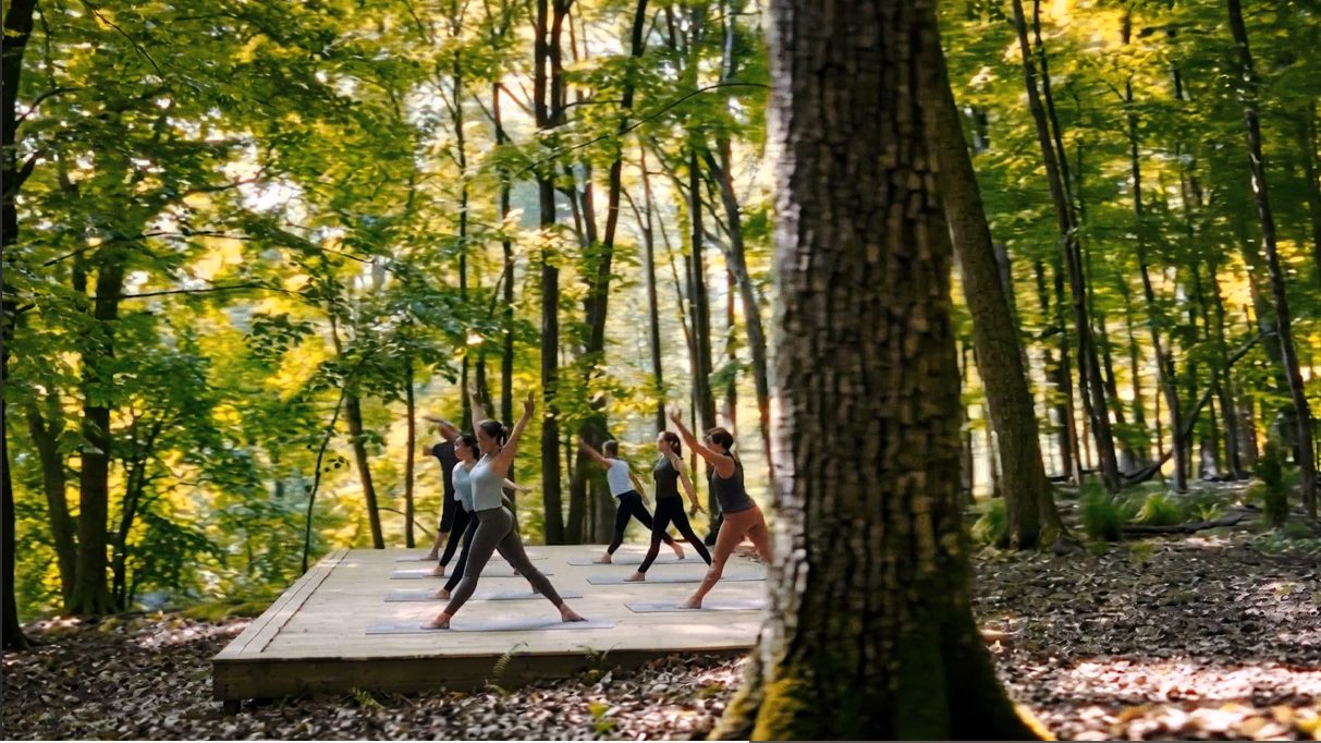 Espacios de bienestar y yoga en el bosque